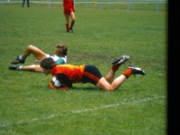 0DIA1981 RAVAKAMP EN ZEIST C1